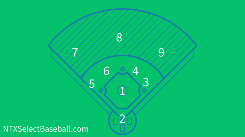 Baseball Position Numbers (2)