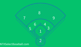 Baseball Position Numbers (2)