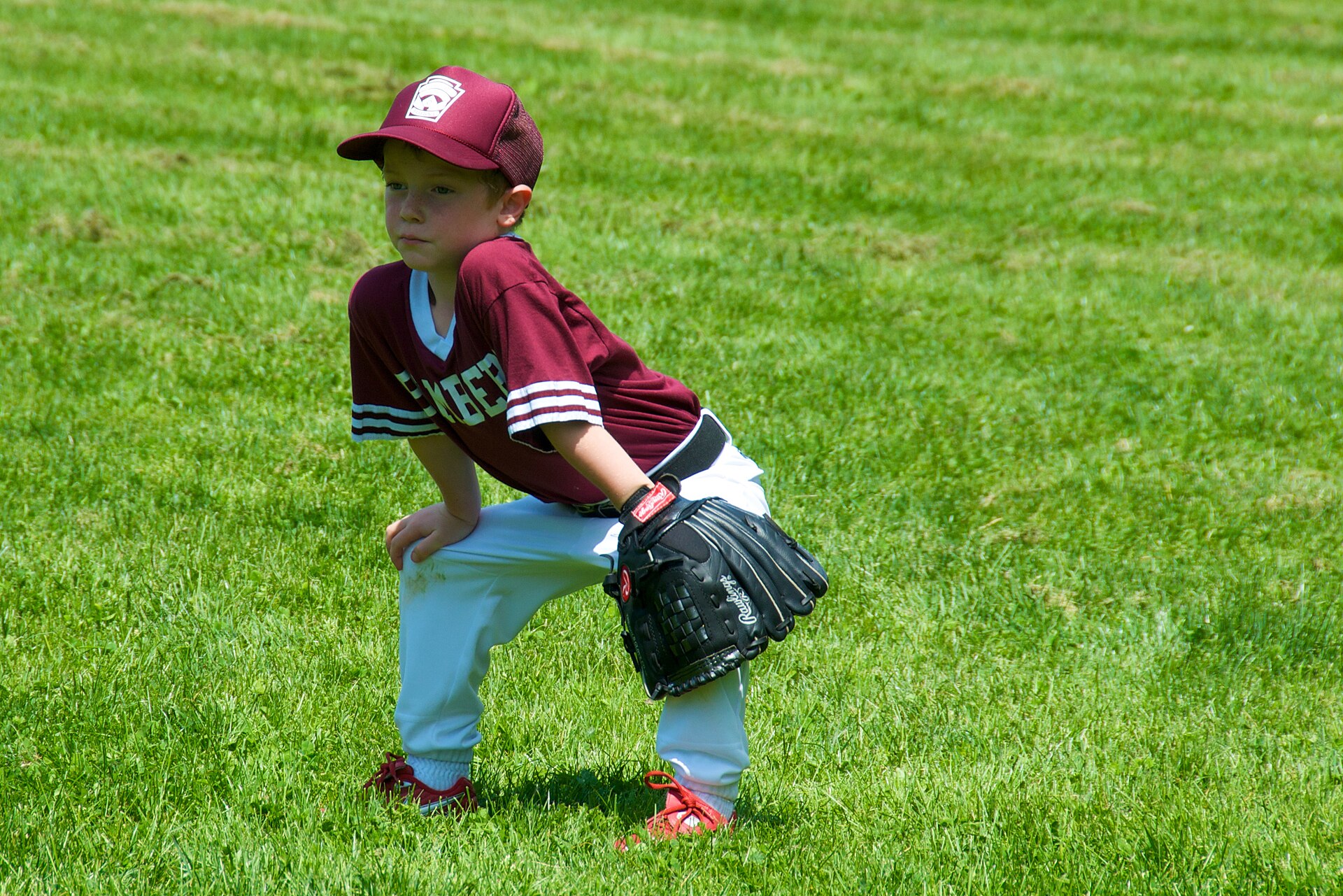 Young Little League fielder crouched in ready position on the grass
