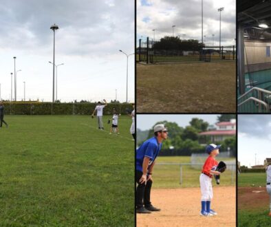 Youth baseball offseason training collage — throwing drills, outdoor batting cages, indoor cages in Frisco, and a fielding clinic